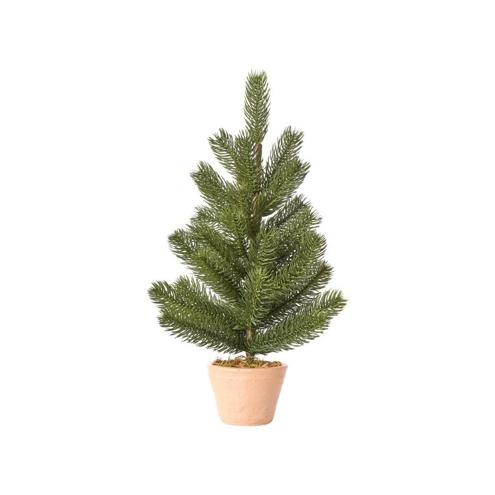 PINETTO VIRGINIA CON VASO CM.4